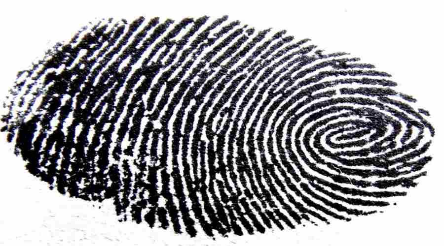 Thieves can steal fingerprints from selfie